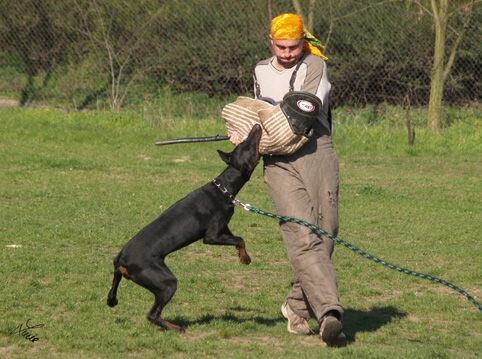 Training 4. 4. 2007